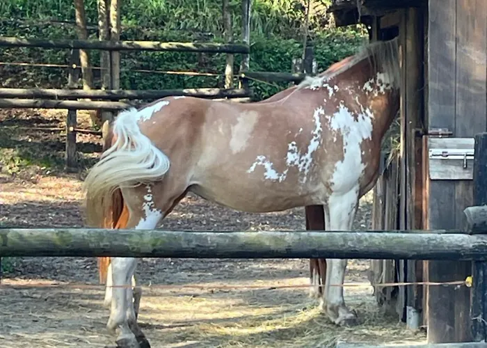 L'affittacamere Di Evy Gæstehus